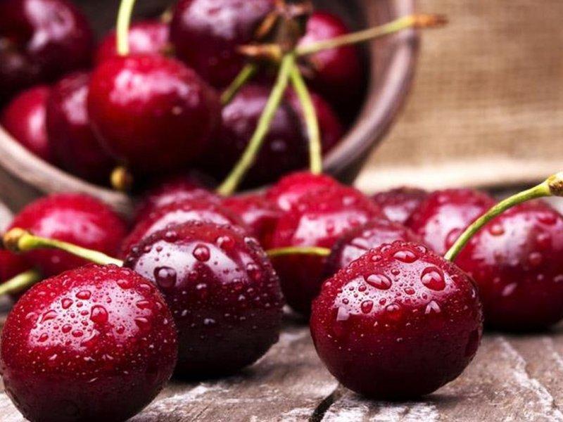 Вишня купить саженцы из питомника в Химках